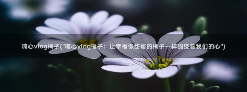 糖心vlgo米娜在线